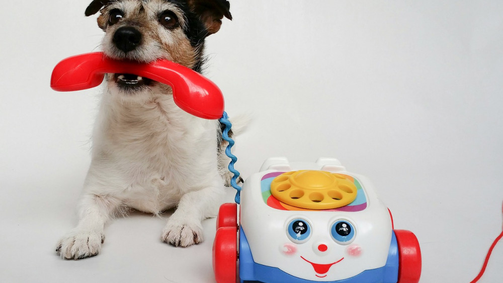 Kein Service unter dieser Verbindung? Die Versicherer schneiden in Sachen Telefonservice besser ab als andere Branchen - haben aber Defizite (Symbolbild).